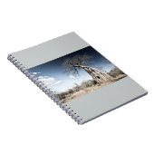 Baobab Tree at Mana Pools National Park, Simbabwe Notizblock (Rechte Seite)