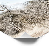 Baobab Tree at Mana Pools National Park, Simbabwe Poster (Ecke)