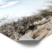 Baobab Tree at Mana Pools National Park, Simbabwe Poster (Ecke)