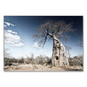 Baobab Tree at Mana Pools National Park, Simbabwe Tischnummer (Vorderseite)