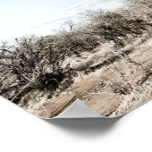 Baobab Tree at Mana Pools Nationalpark Foto Poster (Ecke)
