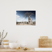 Baobab Tree at Mana Pools Nationalpark Foto Poster (Küche)