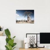 Baobab Tree at Mana Pools Nationalpark Foto Poster (Heimbüro)