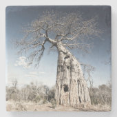 Baobab Tree at Mana Pools Nationalpark Foto Steinuntersetzer (Vorderseite)
