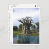 Baobab Tree Postcard Postkarte (Vorne/Hinten)