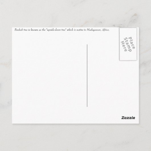 Baobab Tree Postcard Postkarte (Rückseite)
