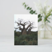 Baobab Tree Postcard Postkarte (Stehend Vorderseite)