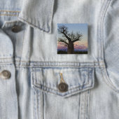 Baobab trees, Berenty, Toliara, Madagaskar Button (Beispiel)