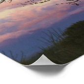 Baobab trees, Berenty, Toliara, Madagaskar Poster (Ecke)