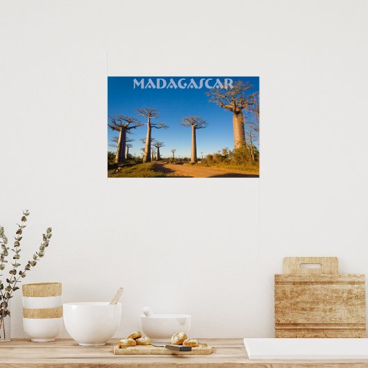 Baobabs de Madagascar Poster (Küche)