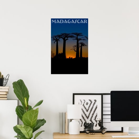Baobabs de Madagascar Poster (Heimbüro)