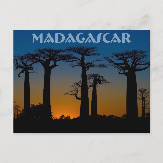 Baobabs de Madagascar Postkarte (Vorderseite)