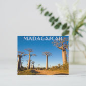 Baobabs de Madagascar Postkarte (Stehend Vorderseite)