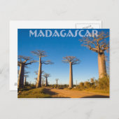 Baobabs de Madagascar Postkarte (Vorne/Hinten)