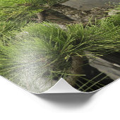 Baos Familiengarten, Huangshan, China. 2 Fotodruck (Ecke)