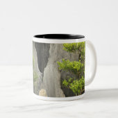 Baos Familiengarten, Huangshan, China.2 Zweifarbige Tasse (VorderseiteRechts)