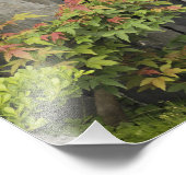 Baos Familiengarten, Huangshan, China. Fotodruck (Ecke)