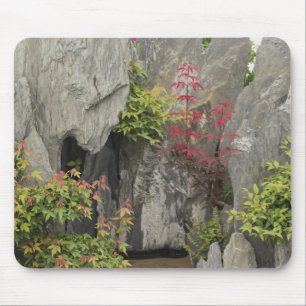Baos Familiengarten, Huangshan, China. Mousepad