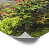 Baos Familiengarten, Huangshan, China. Poster (Ecke)