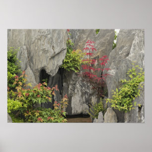 Baos Familiengarten, Huangshan, China. Poster