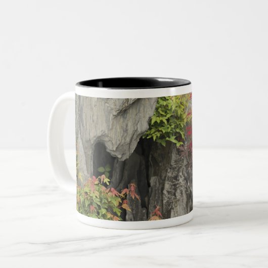 Baos Familiengarten, Huangshan, China. Zweifarbige Tasse (Vorderseite Links)