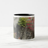 Baos Familiengarten, Huangshan, China. Zweifarbige Tasse (Mittel)