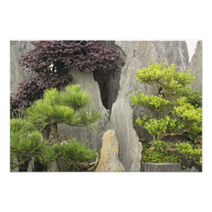 Baos Familiens Garten, Huangshan, China. 2 Fotodruck