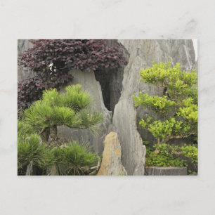 Baos Familiens Garten, Huangshan, China. 2 Postkarte