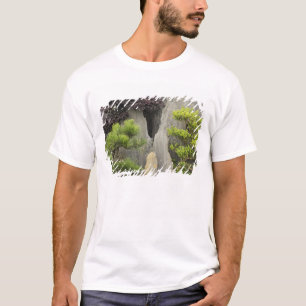 Baos Familiens Garten, Huangshan, China. 2 T-Shirt
