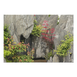 Baos Familiens Garten, Huangshan, China. Fotodruck