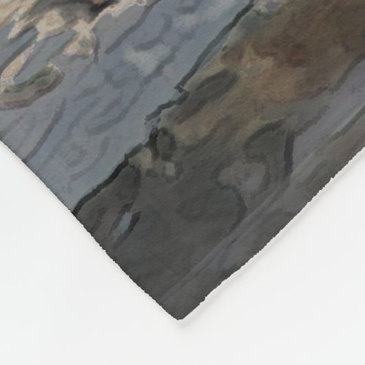 Bär20150804 Fleecedecke (Ecke)