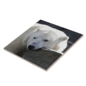 Bär 002 fliese (Seite)