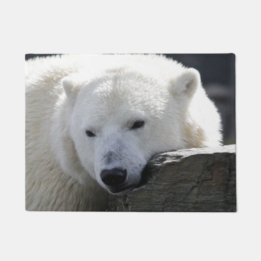 Bär 002 fußmatte (Vorderseite)