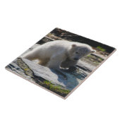 Bär 07 fliese (Seite)