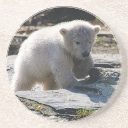 Bär 07 getränkeuntersetzer (Vorne)