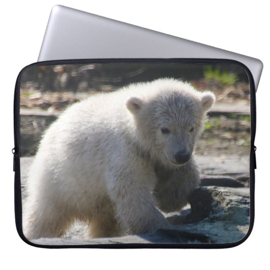 Bär 07 laptopschutzhülle (Vorderseite)