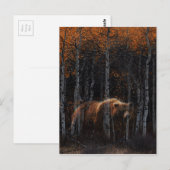 Bär 3 postkarte (Vorne/Hinten)