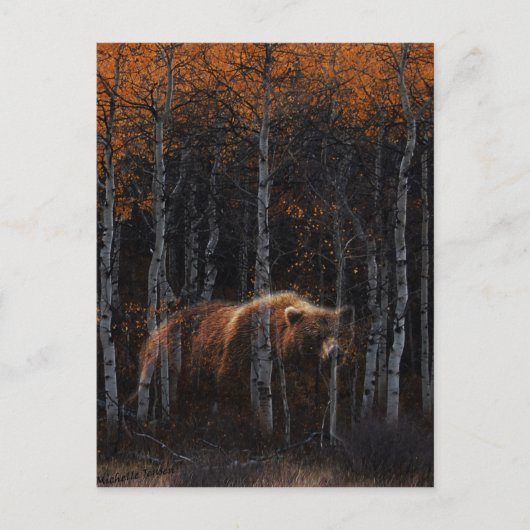 Bär 3 postkarte (Vorderseite)