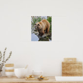 Bär an einem See Poster (Küche)