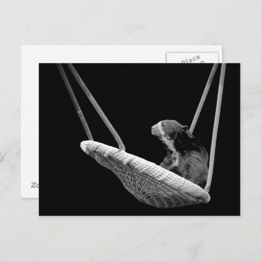 Bär auf dem Swing in Schwarz und Weiß Postkarte (Vorne/Hinten)
