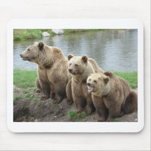 Bär Bären Tier individuell anpassen Jahrestage Mousepad