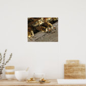 Bar Bees_Honey Lager? Poster (Küche)