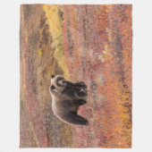 Bär bewegt Denali Nationalpark, Alaska im Fall Fleecedecke (Vorderseite)