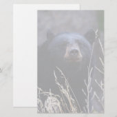 Bär Briefpapier (Vorne/Hinten)