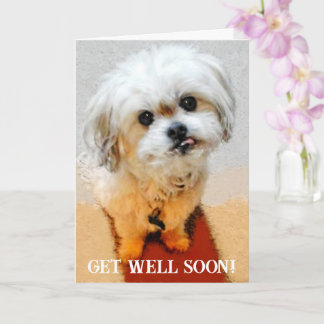 Bär den Malshi Get Well Card Karte