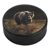 Bär Eishockey Puck (3/4)