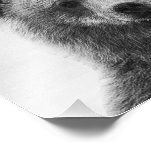 Bär Fotodruck (Ecke)