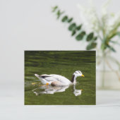 Bar-Gänse Postkarte (Stehend Vorderseite)