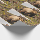 Bär Geschenkpapier (Ecke)
