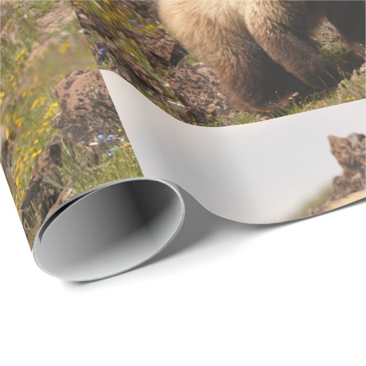 Bär Geschenkpapier (Rolleneckpunkt)